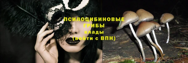 ПСИЛОЦИБИНОВЫЕ ГРИБЫ Новозыбков