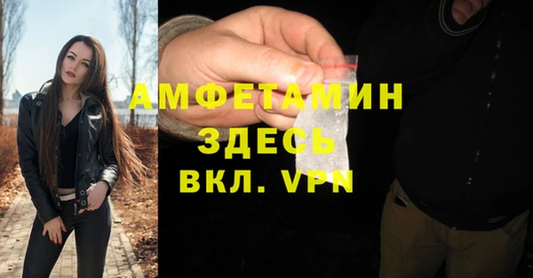 ПСИЛОЦИБИНОВЫЕ ГРИБЫ Новозыбков