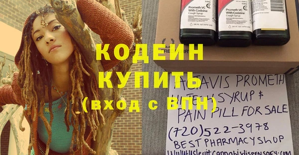 ПСИЛОЦИБИНОВЫЕ ГРИБЫ Новозыбков