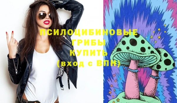 ECSTASY Новодвинск
