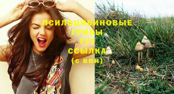 твердый Новокубанск