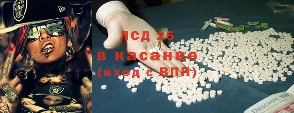 ПСИЛОЦИБИНОВЫЕ ГРИБЫ Новозыбков