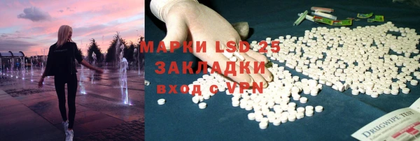 ПСИЛОЦИБИНОВЫЕ ГРИБЫ Новозыбков