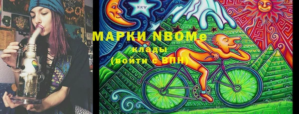 твердый Новокубанск