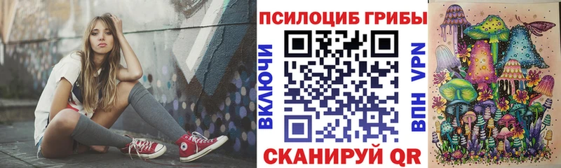 Псилоцибиновые грибы GOLDEN TEACHER  купить  цена  Сасово 